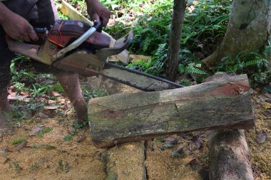 Taşınabilir benzin testeresi kullanan bir adamın alt kısmını gösteren bir tahta kesme sahnesi.