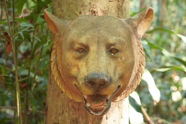 A replica wolf's head is attached to a tree.