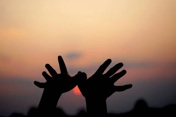 human hand silhouette of flying bird sunset background
