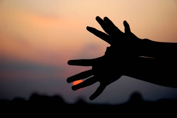 human hand silhouette of flying bird sunset background