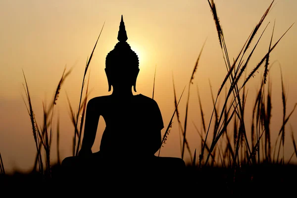 big buddha silhouette sunset background.Makha Bucha Day.Vesak Day.Asanha Bucha.Buddhist Lent.