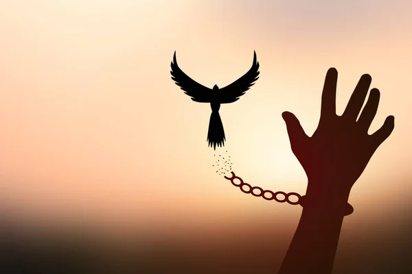 Freedom concept. The top dove leaves the broken chain from the prisoner\'s arm.