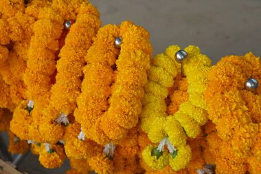 Kadife çiçekleri, nilüfer çiçekleri Lord Buddha 'ya saygılarını sunmak için getirilir..