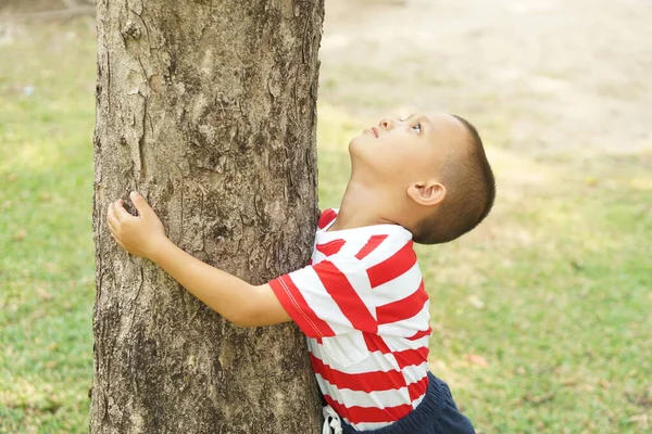 Konzept Der Rettung Des Weltjungen Der Einen Baum Umarmt — Stockfoto