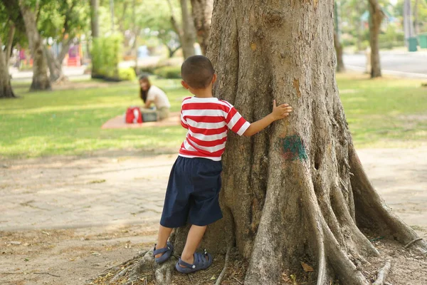 Ein Junge Versteckt Sich Hinter Einem Baum Damit Seine Mutter — Stockfoto