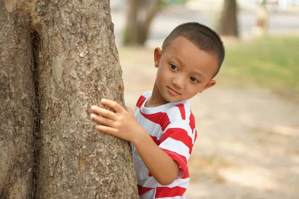男の子は木の後ろに隠れて母親には見えない — ストック写真