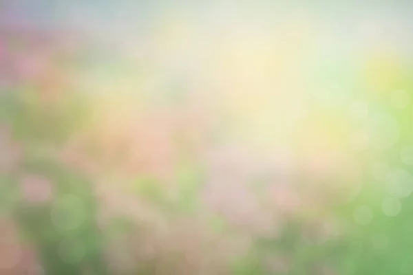 模糊的圆形绿色叶背 浅黄叶光耀斑自然背景 — 图库照片