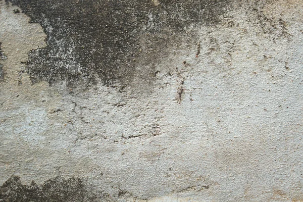 페인트 시멘트 — 스톡 사진