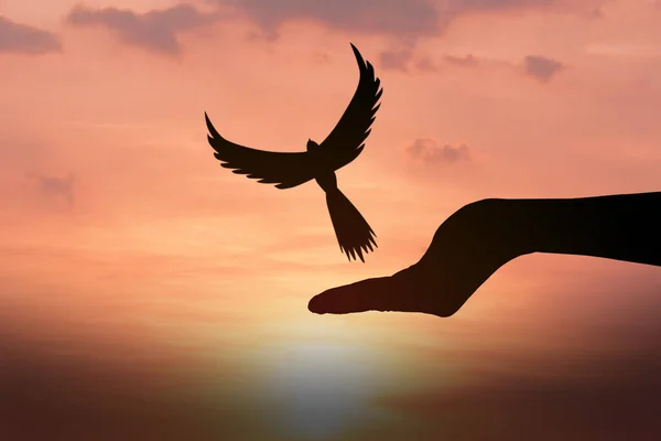 concept of freedom. Silhouette dove flying over the human hand.