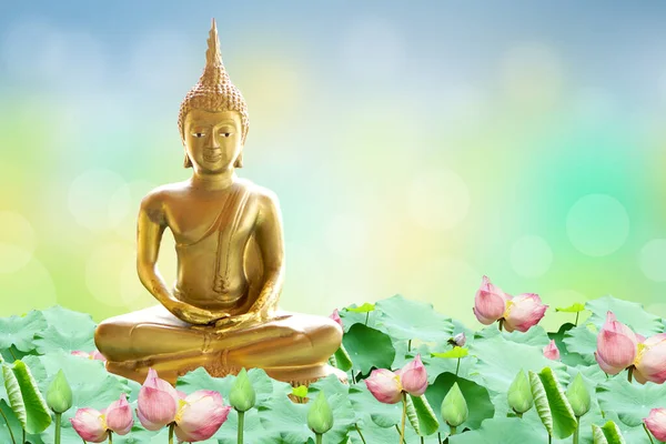 stock image Makha Asanaha Visakha Bucha Day Golden Buddha image. Background of Bodhi leaves with shining light. Soft image and smooth focus style