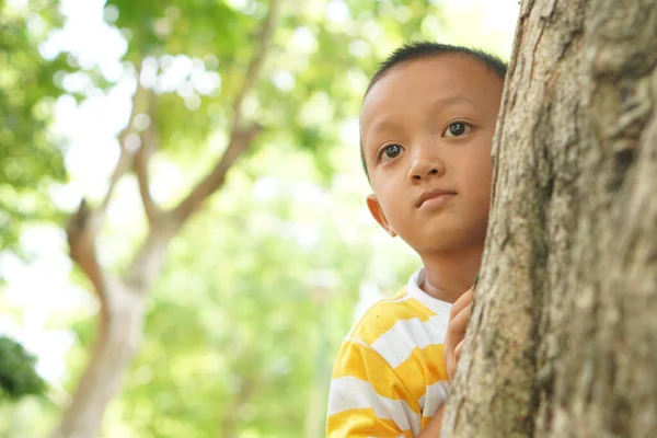 Junge Spielt Verstecken Garten — Stockfoto