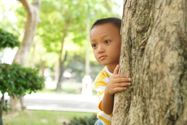 Junge Spielt Verstecken Garten — Stockfoto