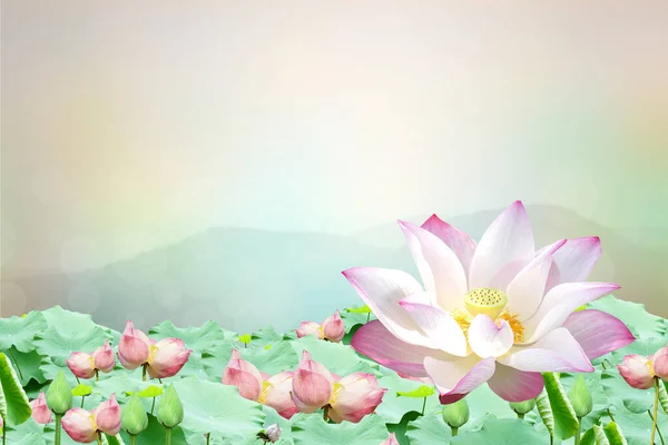 Kwitnący Lotos Składanie Hołdu Duchowej Podróży Wiary Oddania Buddyzmie — Zdjęcie stockowe