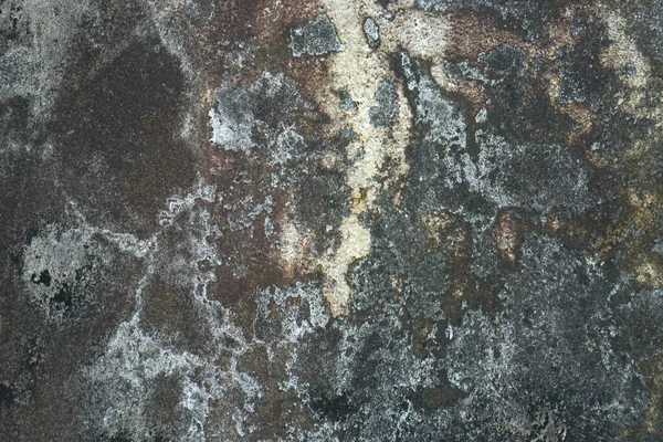 Vintage Worn Cement Floor Com Pintura Descolorida Moss Sticking Fundo — Fotografia de Stock