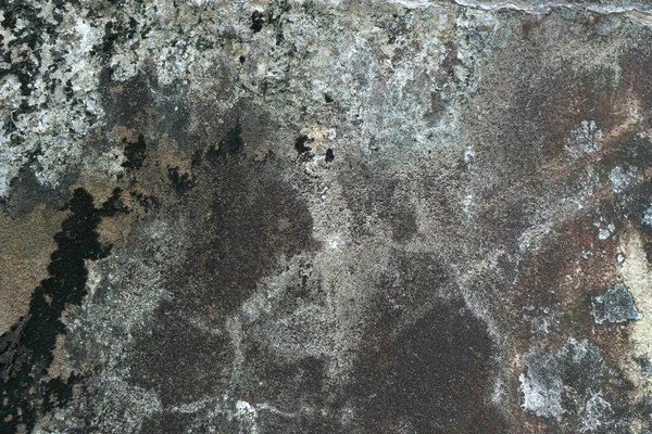 Vintage Abgenutzter Zementboden Mit Verfärbter Farbe Und Moosverklebung Ein Rustikaler — Stockfoto