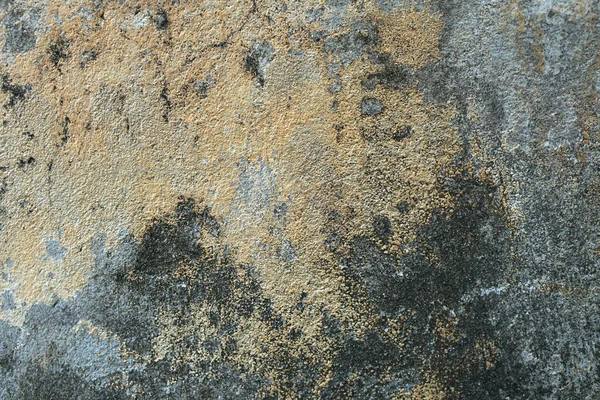 빈티지가 쓸모없는 시멘트 바닥에 페인트와 이끼가 흐르는 거침없는 파괴적 — 스톡 사진