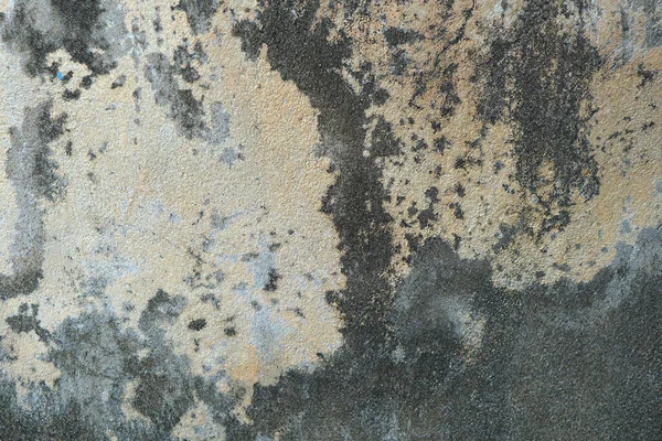 Vintage Worn Cement Floor Discolored Paint Moss Sticking Rustic Abstract — Stock Photo, Image