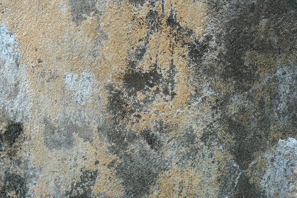 Vintage Worn Cement Floor Com Pintura Descolorida Moss Sticking Fundo — Fotografia de Stock