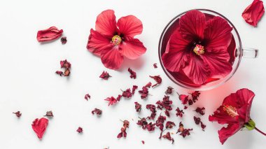 Hibiscus tea, flower and dry blossom isolated on white background clipart