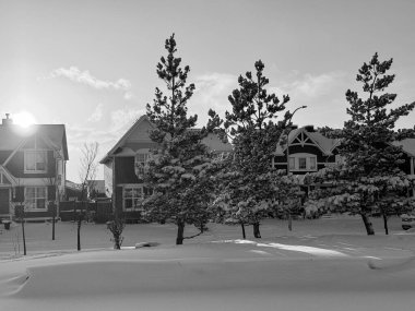Soğuk ağaçların arasından süzülen yumuşak güneş ışığıyla siyah beyaz bir banliyö mahallesinde sakin, karlı bir akşam..