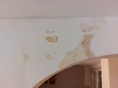 Duvarda küf var. Binanın yenilenmesi, su lekesi fotoğrafı..