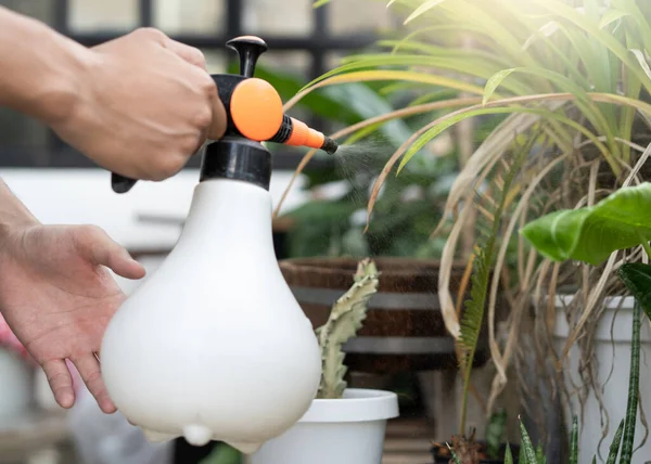 People Watering Plant Rooftop Outdoor — Foto Stock
