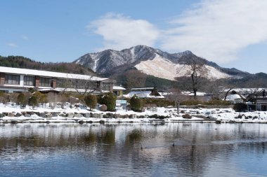 scenic shot of beautiful Japanese park during winter
