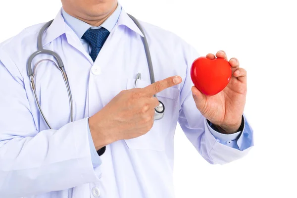 Check Your Heart Disease Hospital Male Doctor Pointing Red Heart — Stock Photo, Image
