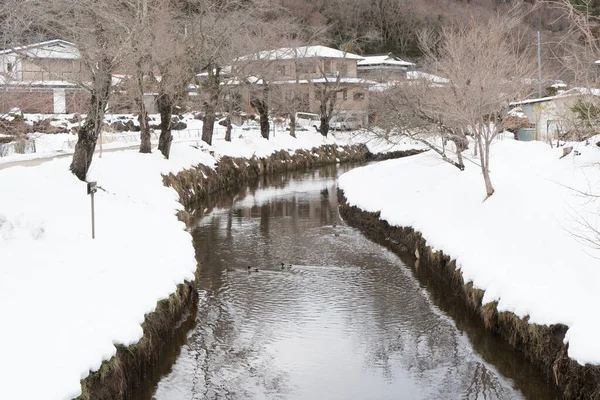 Γραφική Φωτογραφία Του Όμορφου Ιαπωνικού Πάρκου Κατά Διάρκεια Του Χειμώνα — Φωτογραφία Αρχείου