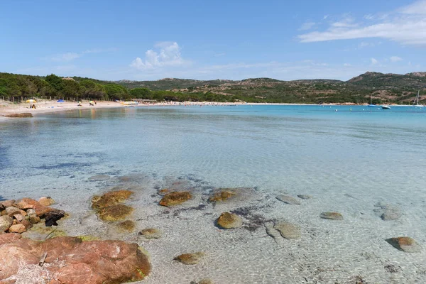 Красивий Середземноморський Пляж Бірюзовою Водою Острові Корсика Франція — стокове фото