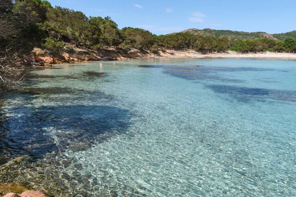 Piękna Śródziemnomorska Plaża Turkusową Wodą Plaża Rondinara Korsyka Francja — Zdjęcie stockowe