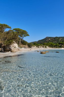 Palombaggia Sahili, Korsika Adası, Fransa