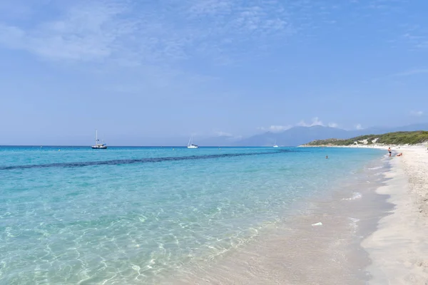 Saleccia Beach Corsica Island França Fotografias De Stock Royalty-Free
