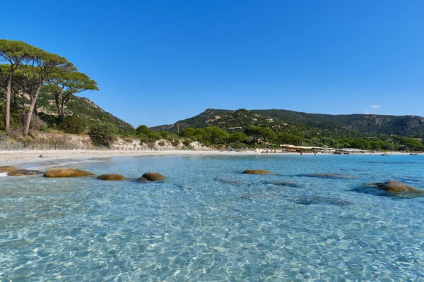 Stranden Palombaggia Korsika Frankrike Stockbild