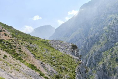 Derin vadiyle kayalık dağ oluşumlarının resimli görüntüsü ve tek başına gün ışığında bulutlu mavi gökyüzüne karşı tek başına ağaçla uçurumdaki yeşil çimenler.