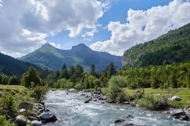 Ara Nehri ile Bujaruelo Vadisi Aragonese Pireneleri, Ordesa ve Monte Perdido Ulusal Parkı, Pireneler, Huesca, İspanya.