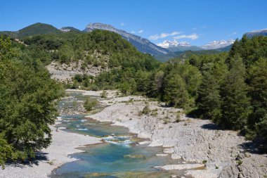 Büyük bir ormanlık alanla çevrili güzel bir nehir ve arka planda Monte Perdido, Aragon 'un karlı dağları..