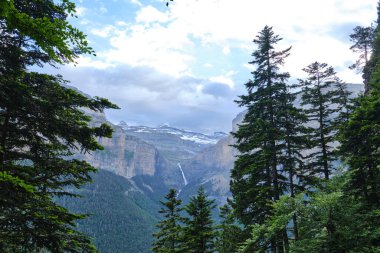 Circo de Cotatuero, large waterfall surrounded by rocky mountains with pine forest, cloudy day in Ordesa y Monte Perdido National Park. clipart