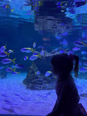 Oturan kız akvaryumdaki renkli balıklara bakıyor.