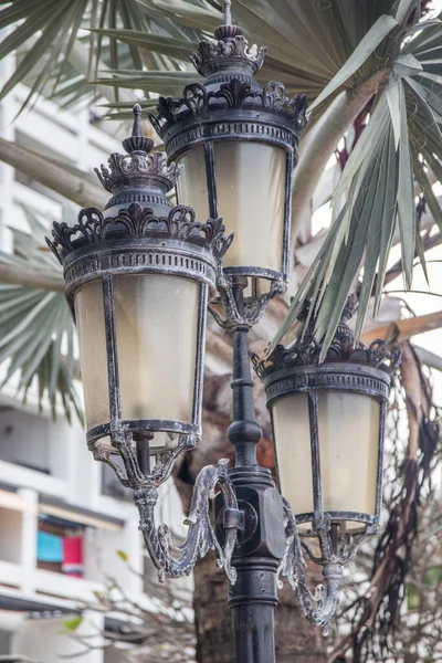 historical street lamps or lamps on a pedestrian walkway