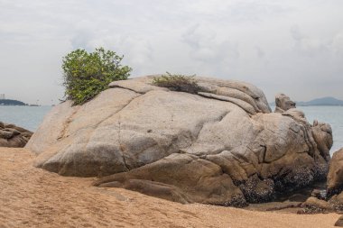 Kayalar, kum, bitkiler, sahil ve deniz bir tatil cennetinde