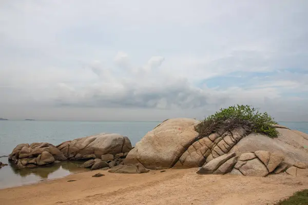 Скалы Песок Растения Пляж Море Курортном Парадизе — стоковое фото