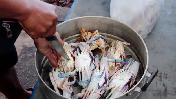 准备新捕获的虾仁供日后食用 动作缓慢 — 图库视频影像