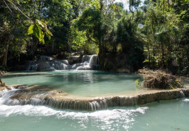 Kuang Si Şelalesi, Güneydoğu Asya ülkesi Laos 'ta, Luang Prabang' ın 30 km güneyinde yer almaktadır.