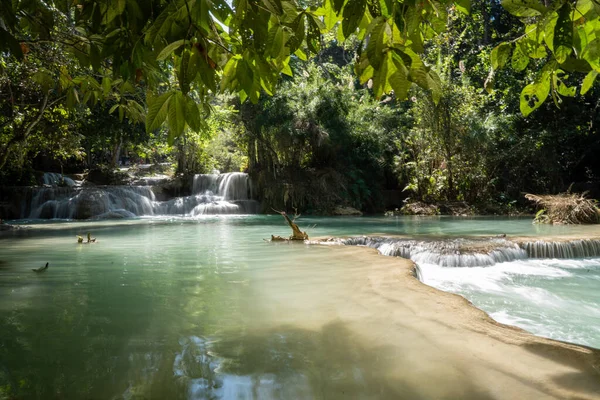 Kuang Si Şelalesi, Güneydoğu Asya ülkesi Laos 'ta, Luang Prabang' ın 30 km güneyinde yer almaktadır.