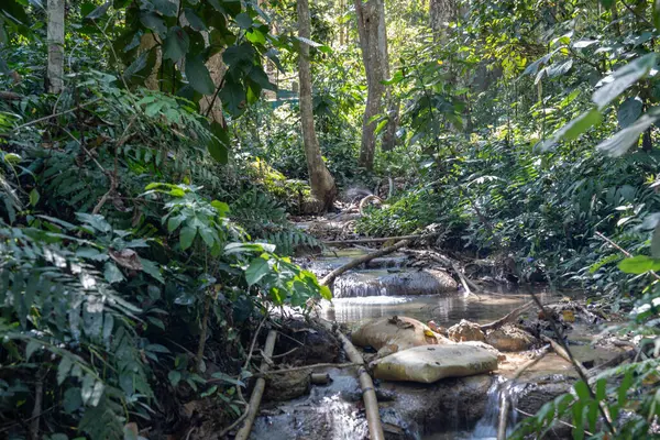 Kuang Si Şelalesi, Güneydoğu Asya ülkesi Laos 'ta, Luang Prabang' ın 30 km güneyinde yer almaktadır.