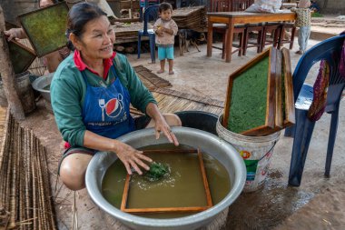 Luang Prabang, Laos Asia yakınlarındaki bir köyde tatlı su yeşil yosunları, sarımsak, sebze ve susam tohumlarından yapılan bir Laos aperatifi olan Kai Pen 'in üretimi