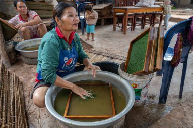 Luang Prabang, Laos Asia yakınlarındaki bir köyde tatlı su yeşil yosunları, sarımsak, sebze ve susam tohumlarından yapılan bir Laos aperatifi olan Kai Pen 'in üretimi