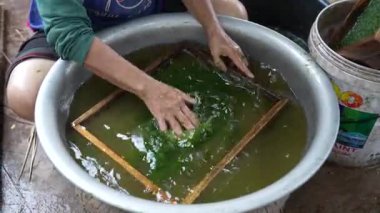 Luang Prabang, Laos Asia yakınlarındaki bir köyde tatlı su yeşil yosunları, sarımsak, sebze ve susam tohumlarından yapılan bir Laos aperatifi olan Kai Pen 'in üretimi 