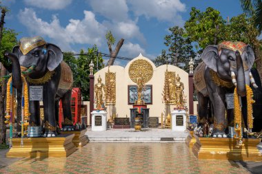 Chiang Mai Tayland Asya 'dan Doi Kham' ın çektiği Budist Tapınağı Wat Phra, Sony ILCE-7M4 ve Sony Lens FE 24-70mm F / 2.8 GM II ile fotoğraflanmıştır.